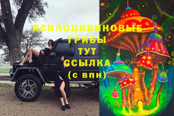 прущий лед Касимов